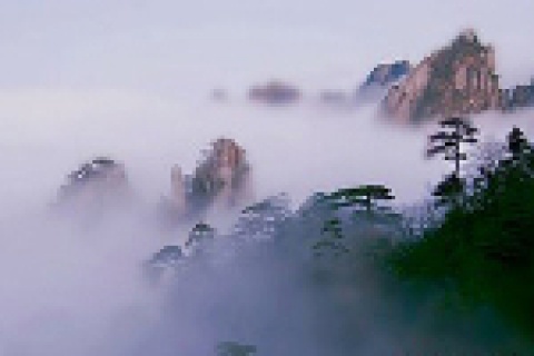 BB视讯·(中国)集团-官网