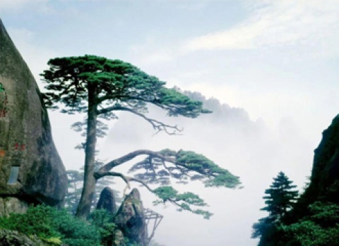 BB视讯·(中国)集团-官网