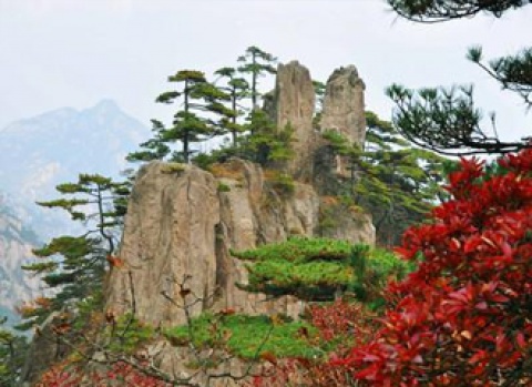 BB视讯·(中国)集团-官网