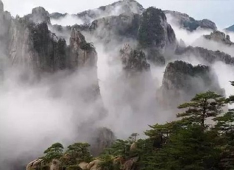 BB视讯·(中国)集团-官网